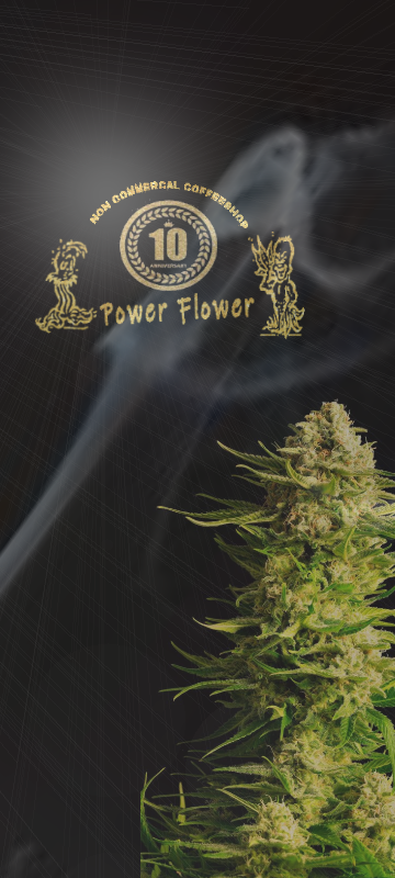 power flower